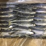 FROZEN MUROAJI FOR BAIT